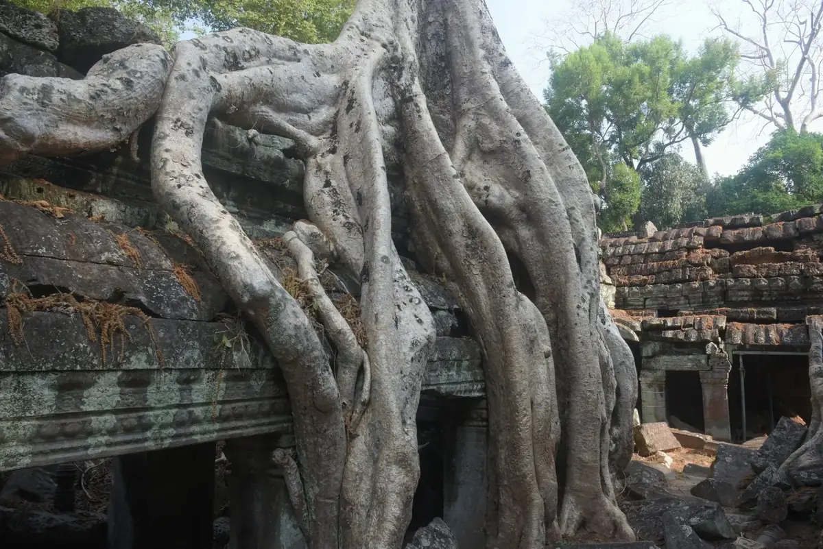 Angkor 2-Day Tour with your local guide, Siem Reap